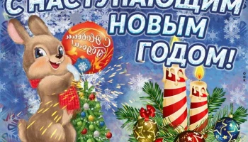 25 декабря наши сказочные герои подарили детишкам много праздничного настроения