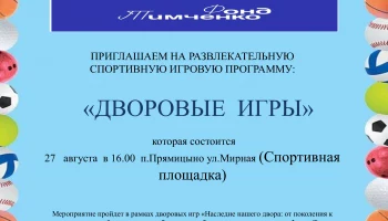 "Дворовые игры"